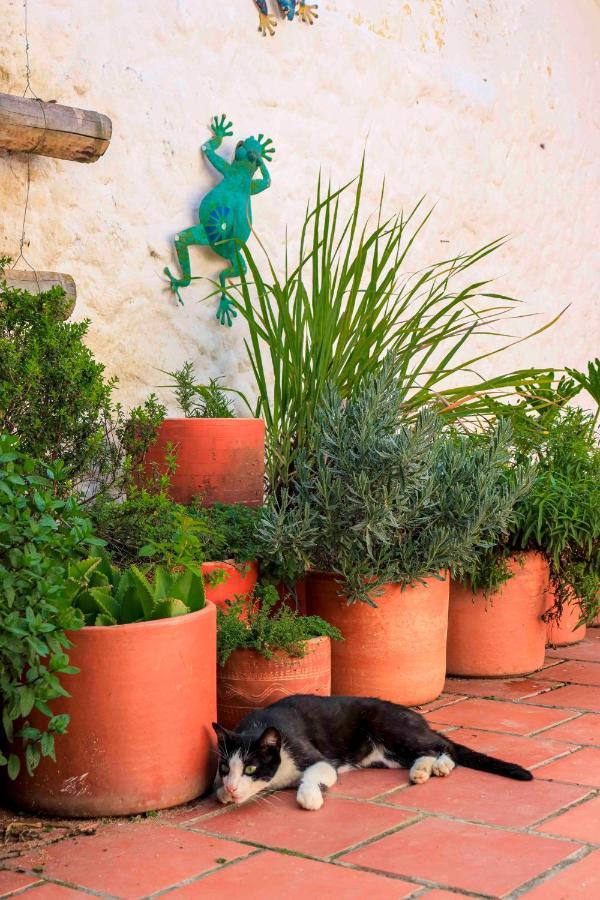 Auberge de jeunesse La Hacienda à San Gil Extérieur photo